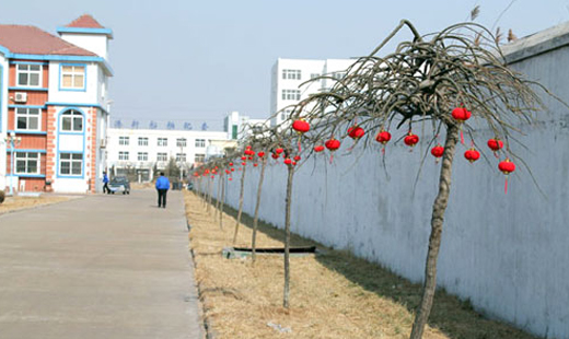 青島華海環(huán)保工業(yè)有限公司張燈結彩，迎接新春和元宵佳節(jié)