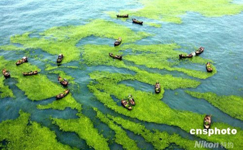 交通運輸部急調1.8萬米圍油欄支援青島防滸苔