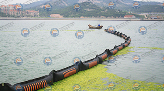 2008年7月，參加青島海域滸苔防治工作